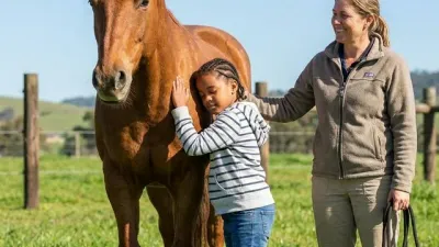 Ein sonniger Tag auf der Koppel: Ein Kind streichelt das Pferd ruhig am Hals, während die Reittherapeutin lächelnd daneben steht