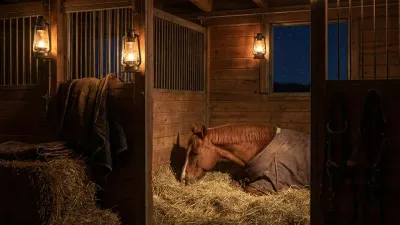Pferde im Stall bei Nacht an Silvester