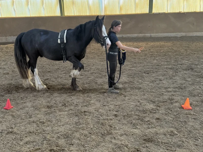 Lennox, der sanftmütige Therapie-Tinker