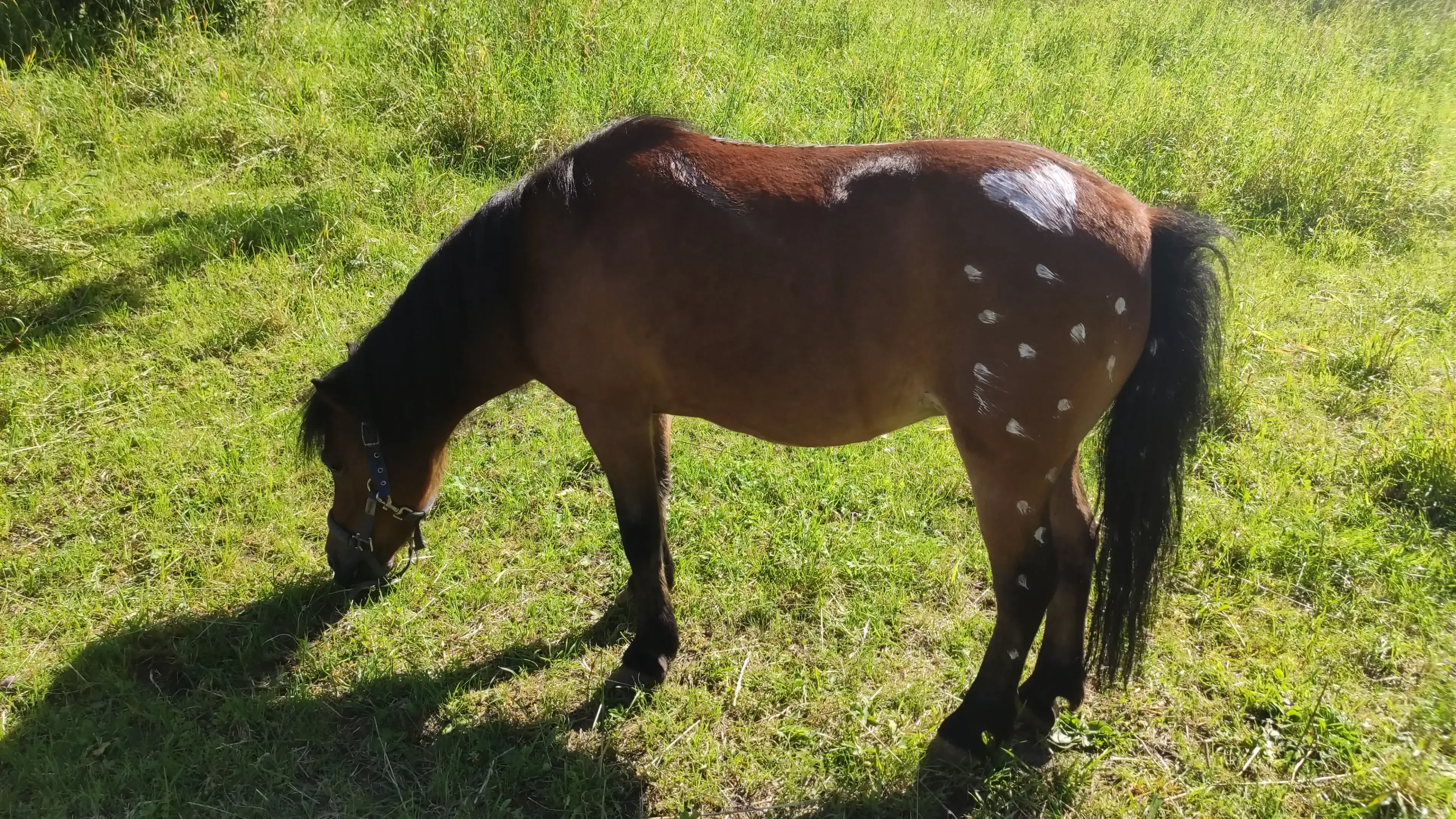 Coco in Rosa - ihre Lieblings-Verwöhn-Session