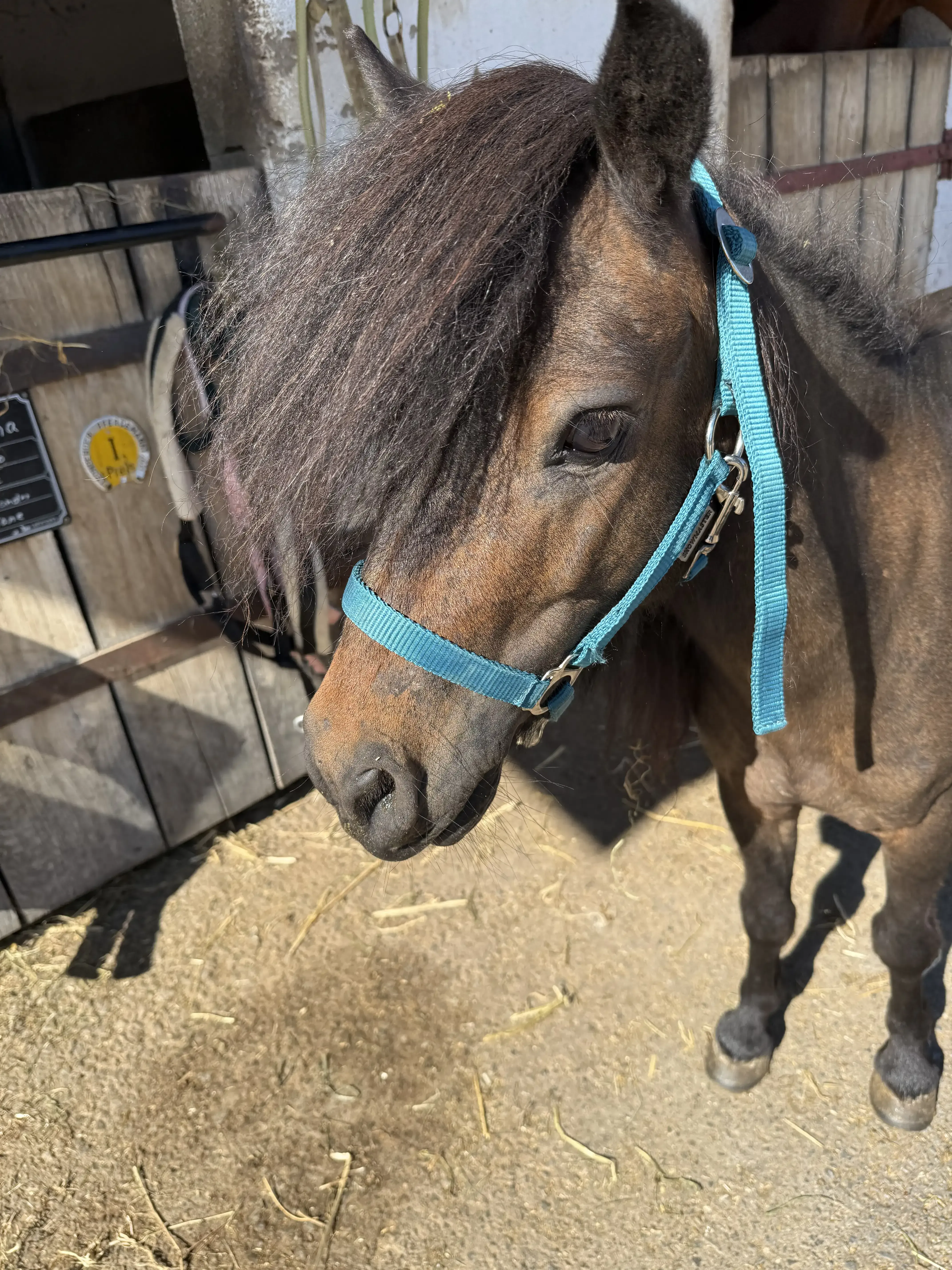 Pucki mit seiner Futterschüssel