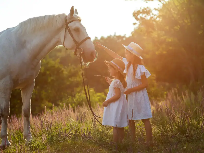 Kinder bei der pädagogischen Ferienbetreuung mit Ponys in Renningen