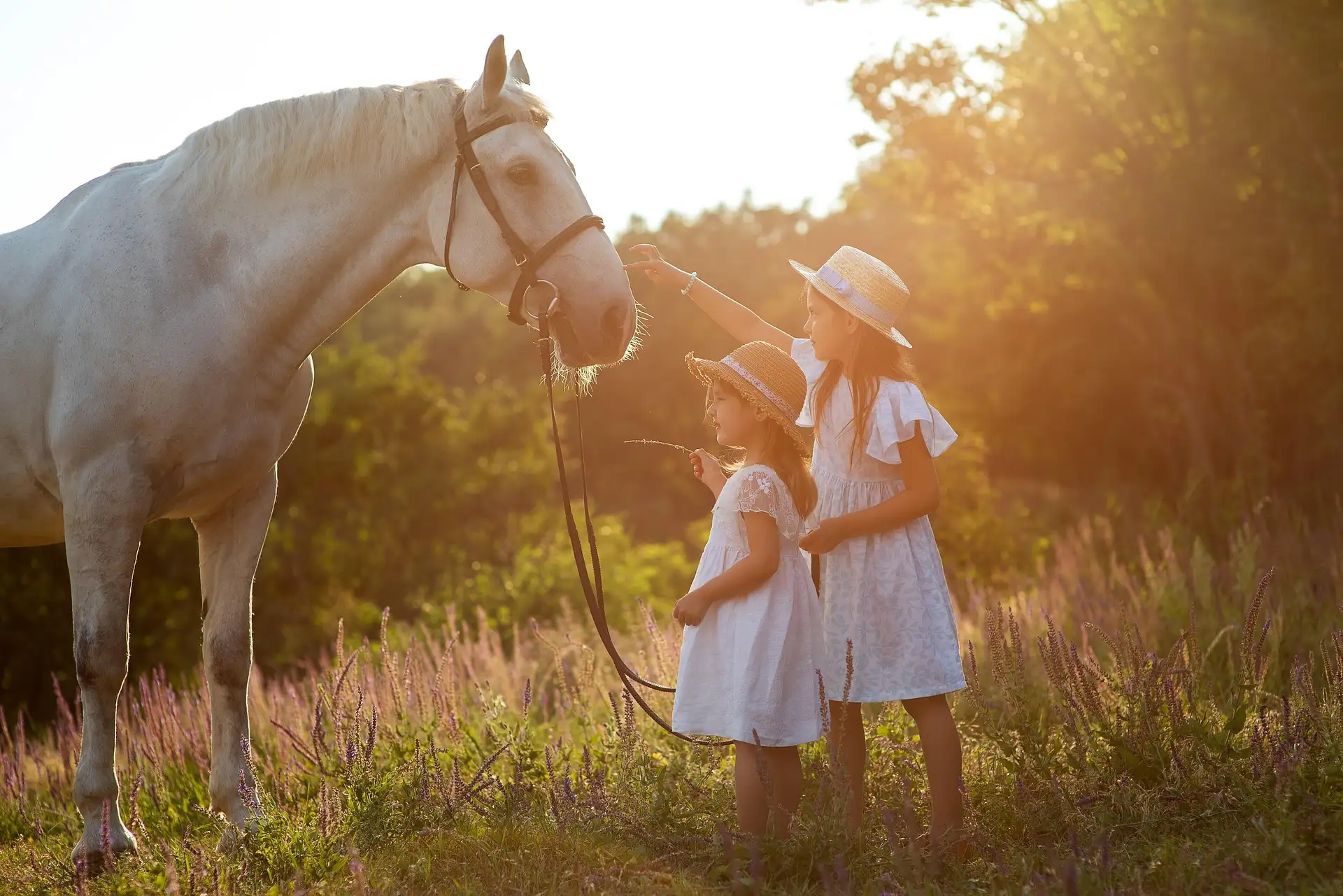 Kinder bei den Ferienkursen mit Ponys - ganztägige Betreuung und Spaß
