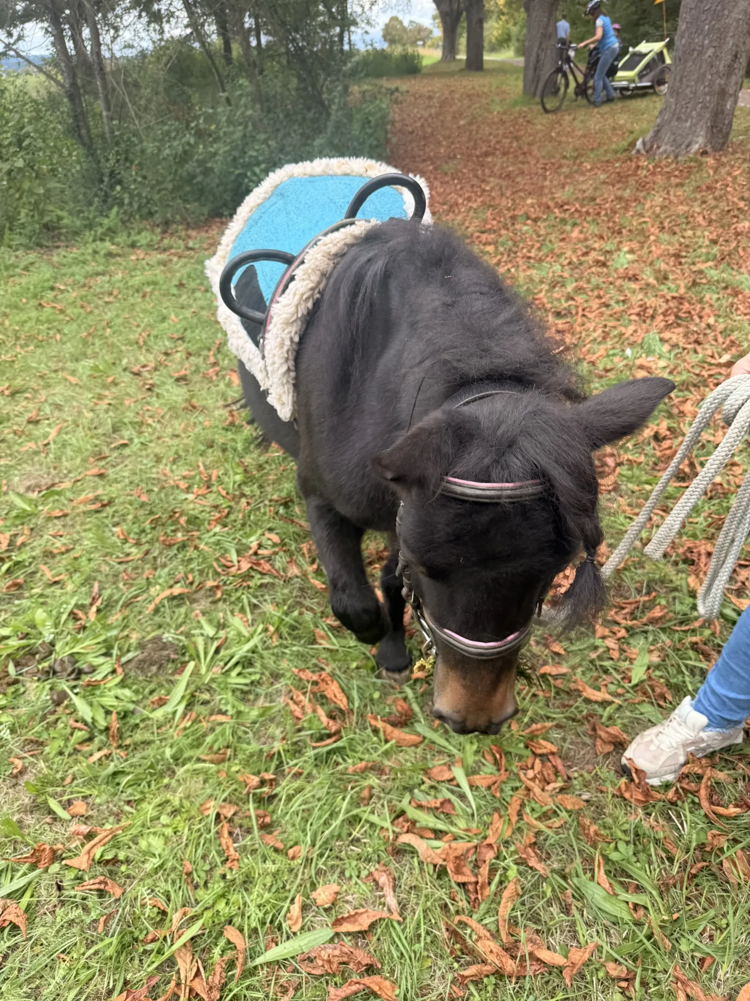 Ponyreiten beim Oberbrunnenfest der Freien Wähler in Renningen 2025