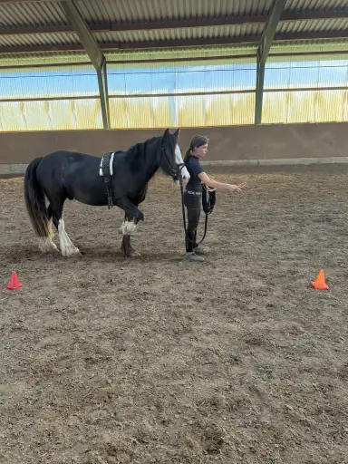 Kind bei der Reittherapie mit Pony Lennox